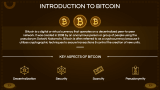 Bitcoin Business Model Presentation - Slide 3