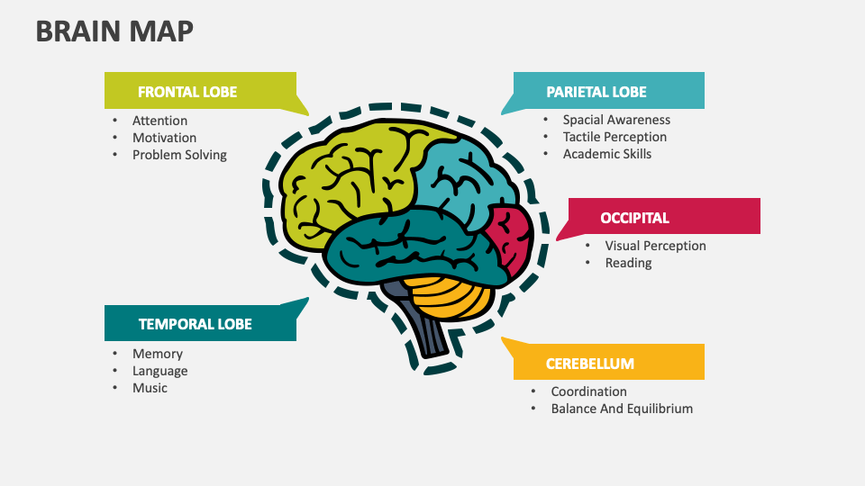 Brain Map PowerPoint and Google Slides Template PPT Slides