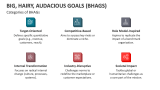 Categories of Big, Hairy, Audacious Goals (BHAGS) - Slide 4