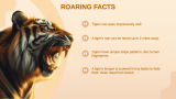 Tiger Presentation - Slide 9