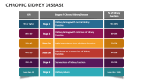 Chronic Kidney Disease - Slide 6
