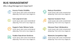 Why is Bug Management Important? - Slide 3