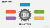 Ebola Virus - Slide 2
