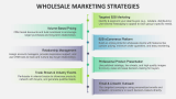 Wholesale Marketing Strategies - Slide 1