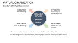 Structure of Virtual Organization - Slide 5