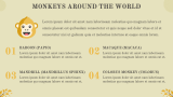 Monkey Presentation - Slide 4