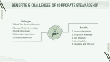 Key Principles of Corporate Stewardship - Slide 7