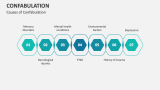 Causes of Confabulation - Slide 2