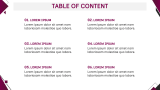 IT Project Summary - Slide 2