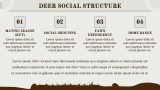 Deer Presentation - Slide 6
