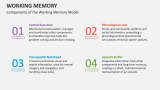Components of the Working Memory Model - Slide 2