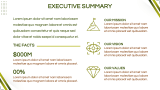 Company Overview - Slide 4