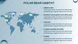 Polar Bears Presentation Theme - Slide 4