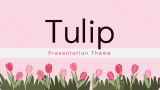 Tulip Presentation Theme - Slide 1