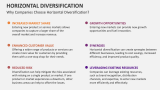 Why Companies Choose Horizontal Diversification? - Slide 6