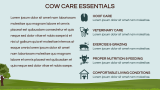 Cow Presentation - Slide 10