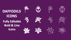 Daffodils Icons - Slide 1