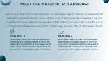 Polar Bears Presentation Theme - Slide 3