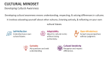 Developing Cultural Awareness | Cultural Mindset - Slide 6