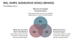 The Big, Hairy, Audacious Goals (BHAGS) Venn - Slide 6
