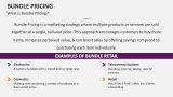 What is Bundle Pricing? - Slide 2