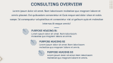 Management Consulting Slides - Slide 3