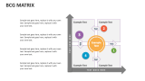 Bcg Matrix - Slide 3