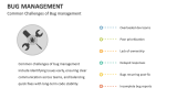 Common Challenges of Bug Management - Slide 10