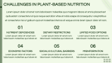 Plant-Based Nutrition Presentation - Slide 11