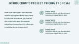 Project Pricing Proposal - Slide 3
