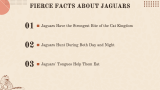 Jaguar Presentation Theme - Slide 11