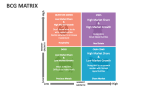Bcg Matrix - Slide 8