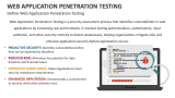 Define Web Application Penetration Testing - Slide 2