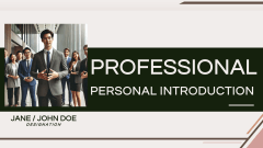 Professional Personal Introduction - Slide 1