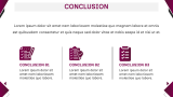 IT Project Summary - Slide 11