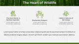 Bamboo Forest Presentation Theme - Slide 5