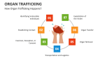 How Organ Trafficking Happens? - Slide 4