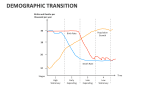Demographic Transition - Slide 8