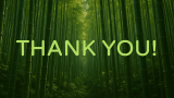Bamboo Forest Presentation Theme - Slide 10