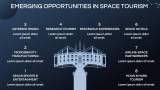 Space Tourism - Slide 8