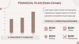 Operational Plan - Slide 10