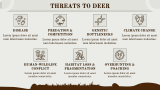 Deer Presentation - Slide 8
