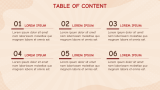 Cartoon Theme Presentation - Slide 2
