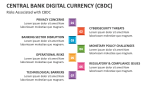 Risks Associated with Central Bank Digital Currency (CBDC) - Slide 9