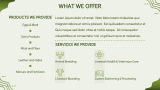 Livestock Farming Business Plan - Slide 5