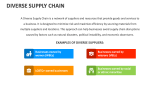 Diverse Supply Chain - Slide 1