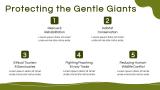 Elephant Presentation Template - Slide 7