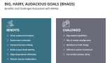 Benefits and Challenges Associated with Big, Hairy, Audacious Goals (BHAGS) - Slide 9