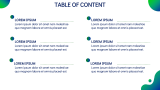 Solar Panel Company Profile - Slide 2