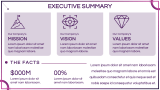 OTT Platform Business Plan - Slide 4